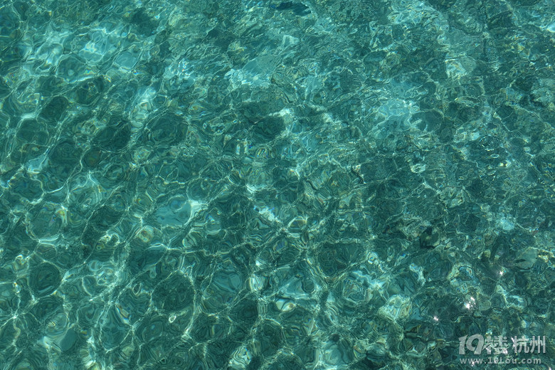 옷(l)ͺáRr(sh)l(f)׿Vittaveli ( ꮅ