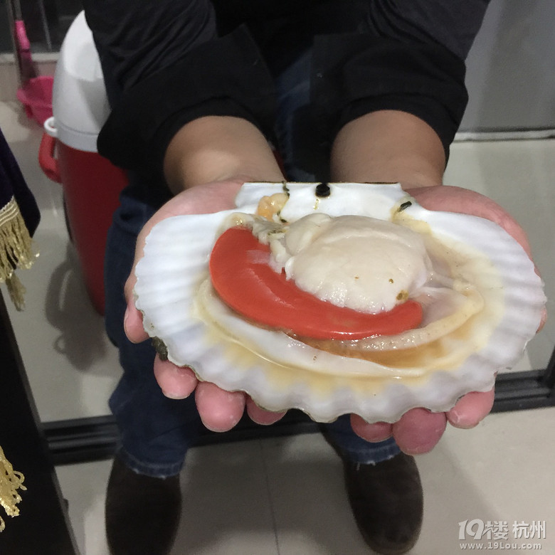 岂止于大, 上市高管弃职,只为最美食材,杭城最大扇贝来袭!