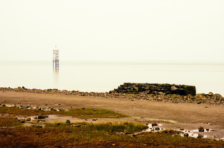 曹娥江入海口随拍一组