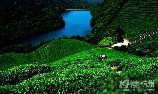杭州周边10大最美的观星地，好浪漫噢！