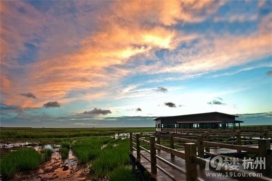 杭州周边10大最美的观星地,好浪漫噢!