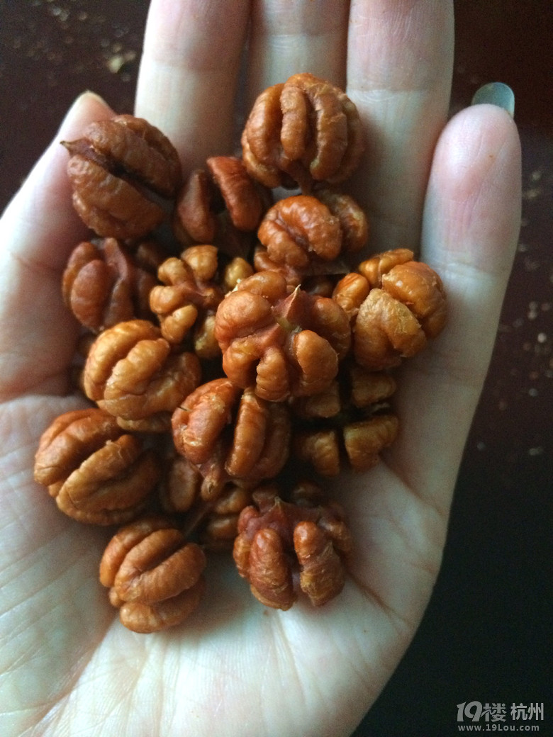 剥山核桃的技术哪家强,看过来