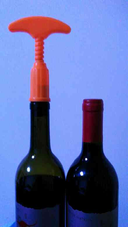 飘洋过海澳洲来,静身凝神怀风月。