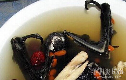 吃活章魚,享受喉嚨里滑動的美食!【玩命吃法攻略】