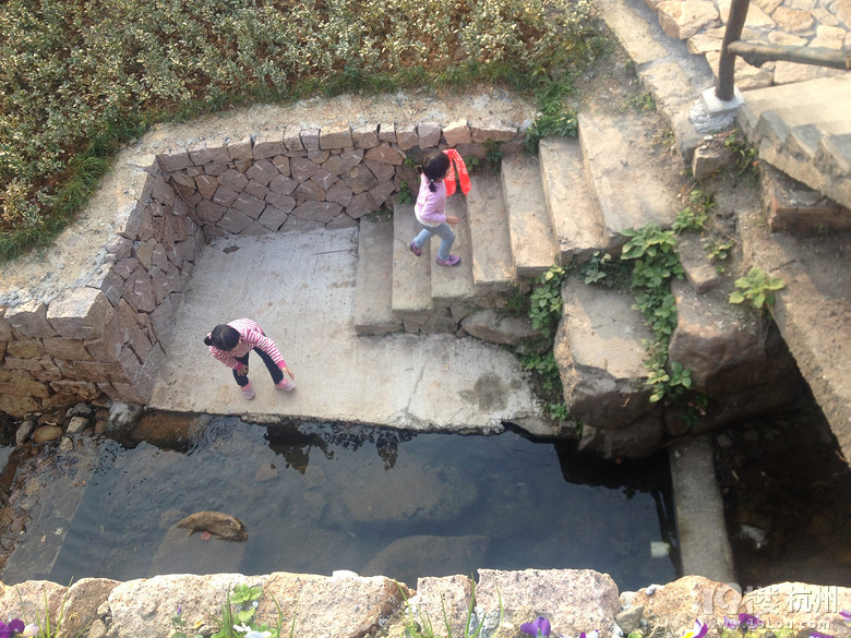 游覽德清洋家樂,與首富不期而遇