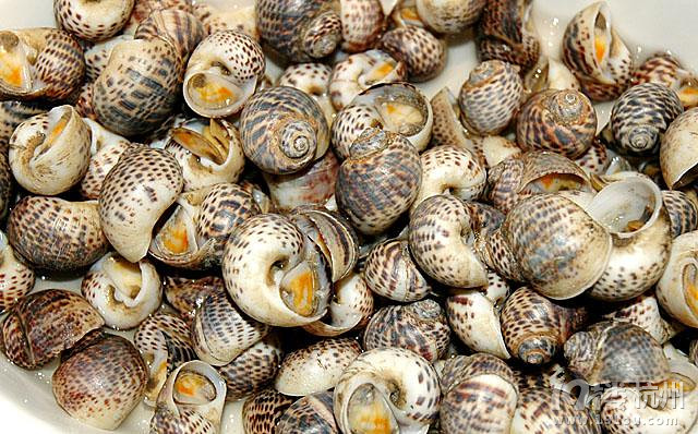 宁波劲酒健康美食评选盐水斑螺