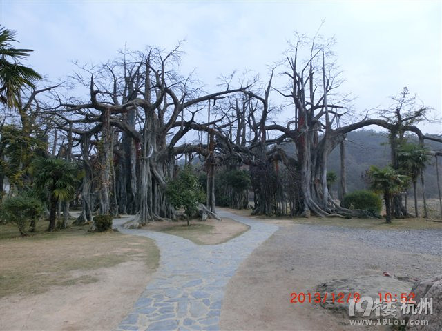 游象山竟然巧遇林心如~