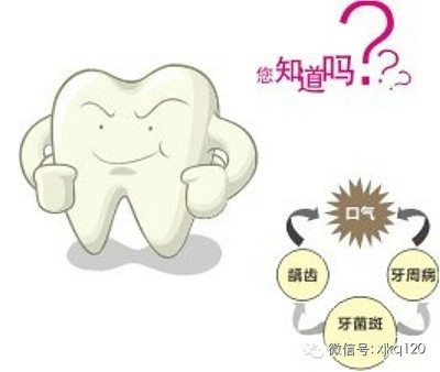 牙斑菌:牙齿疾病的罪魁祸首