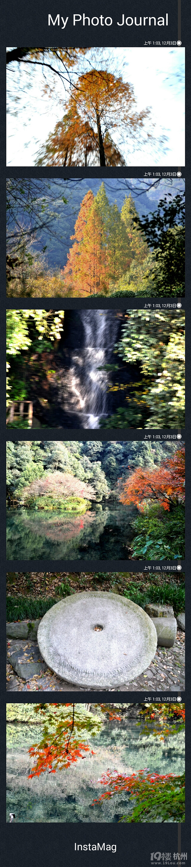 冬季的寒冷，留恋秋意的风景