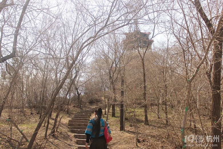 【金夫人结婚日记】此后,我是你的蓝精灵-结婚