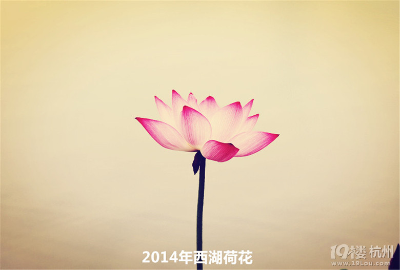 Ʒѹ A2015ꌣ՚v