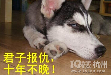 有名的拖延患者应该是说君子报仇十年不晚的