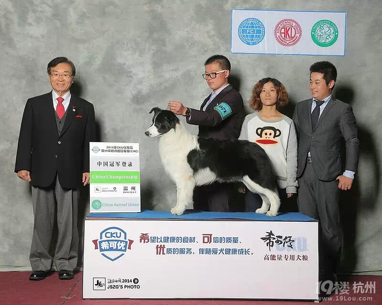半夜睡不着，来整理一下自己的养狗史