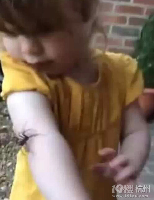 2歲小女孩看到蜘蛛在身上爬,不但不怕,反應(yīng)還超萌!