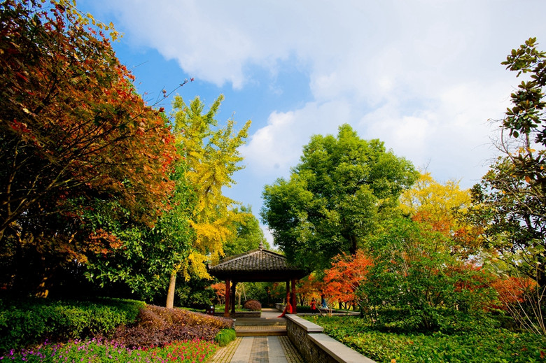 【冬日秋景】临平水景公园随拍