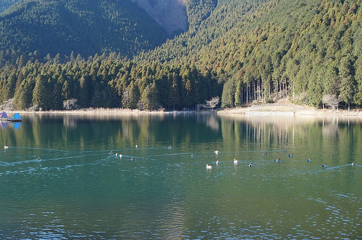 ---富士山的冬天,天很蓝,风很冷,很宁静---游记攻