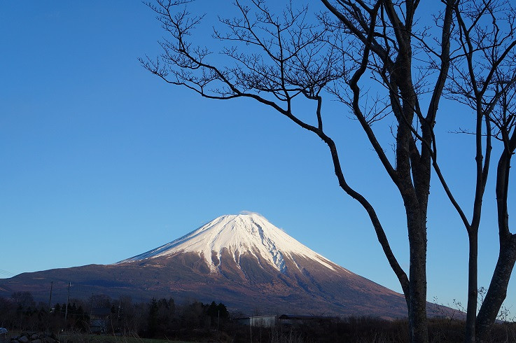 ---富士山的冬天,天很蓝,风很冷,很宁静---游记攻