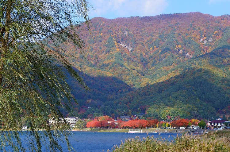 ---富士山的冬天,天很蓝,风很冷,很宁静---游记攻