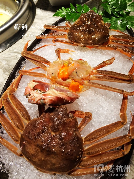 【5隊】#舌尖上的杭州# 豆撈志——木龍記、藏鮮工坊、陽光碼頭