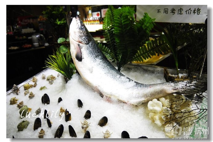 【5隊】#舌尖上的杭州# 豆撈志——木龍記、藏鮮工坊、陽光碼頭