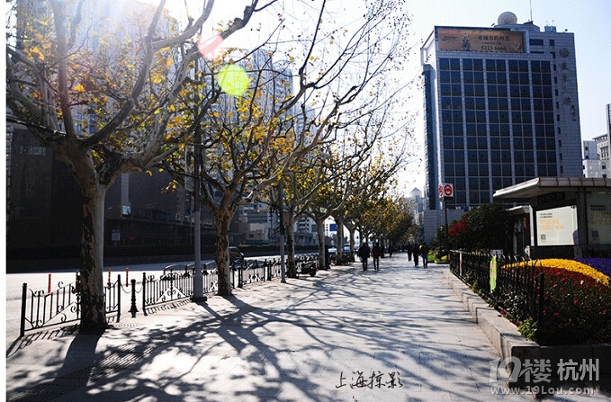 (上海半日游—“歐洲小街道”)陽光下洗禮,風(fēng)景如畫,畫如人生