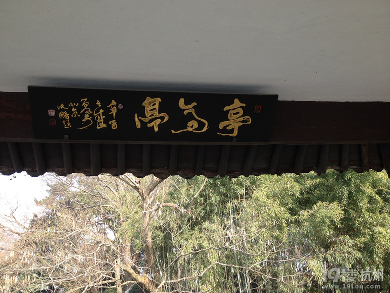 坐画舫,游小瀛洲!