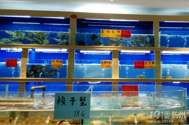 【本周吃到了新货】走在最前面，发现新店和新品！