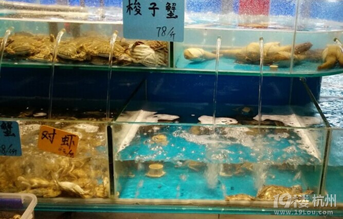【本周吃到了新货】走在最前面，发现新店和新品！