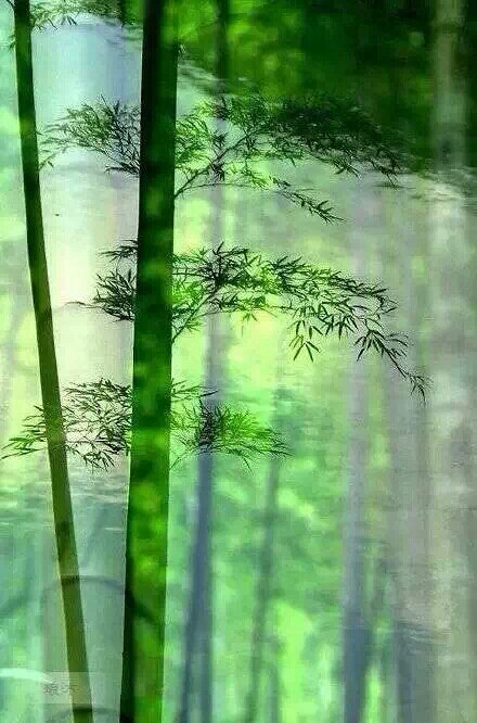 盼望着奇迹出现了