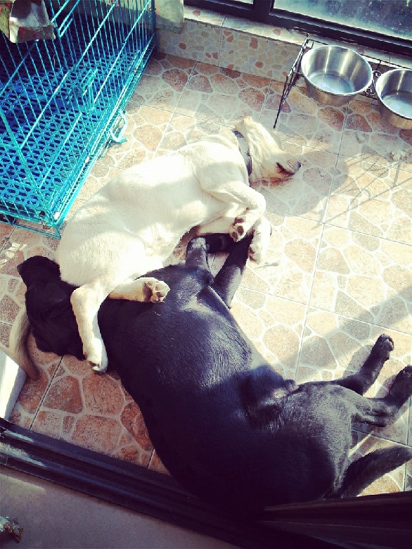 peter被打屁股【相关词_ peterle】