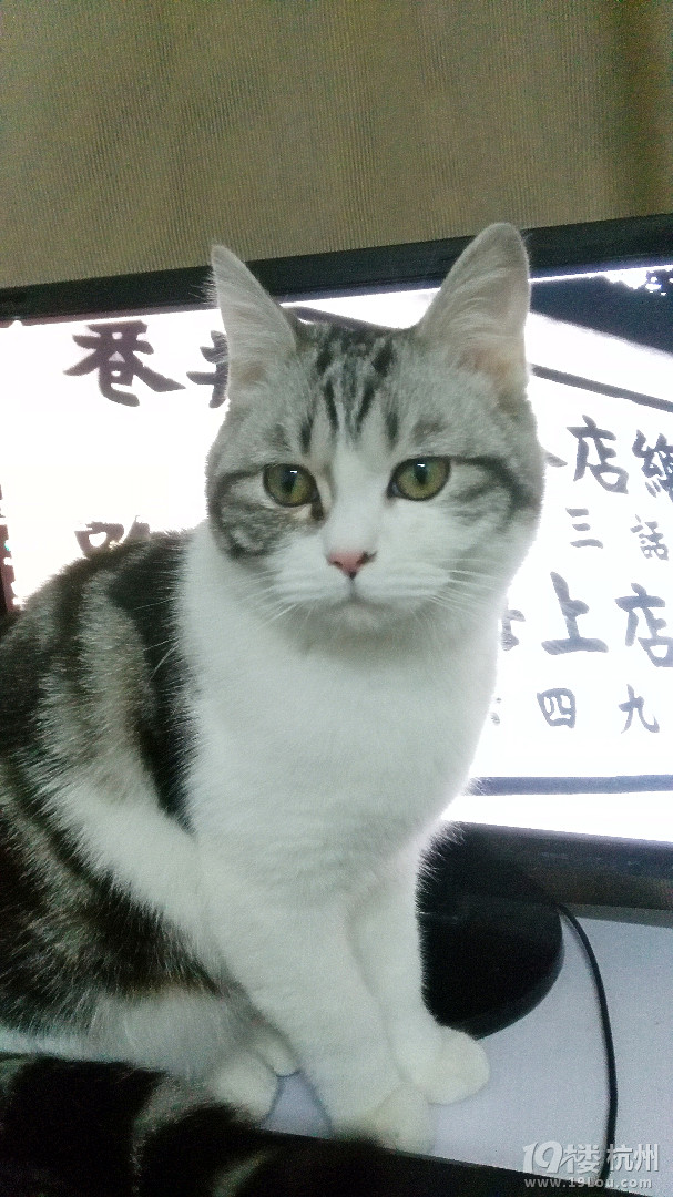 給兒子“初三”找個(gè)媳婦,適合的看過(guò)來(lái)~