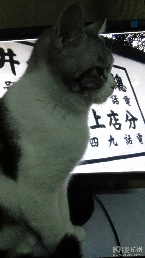 給兒子“初三”找個(gè)媳婦,適合的看過(guò)來(lái)~