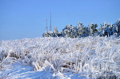 2月7日浙江的雪鄉金華北山賞霧凇雪景