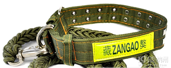 东新路 浙江工业品市场 丢失萨摩 体型巨大！