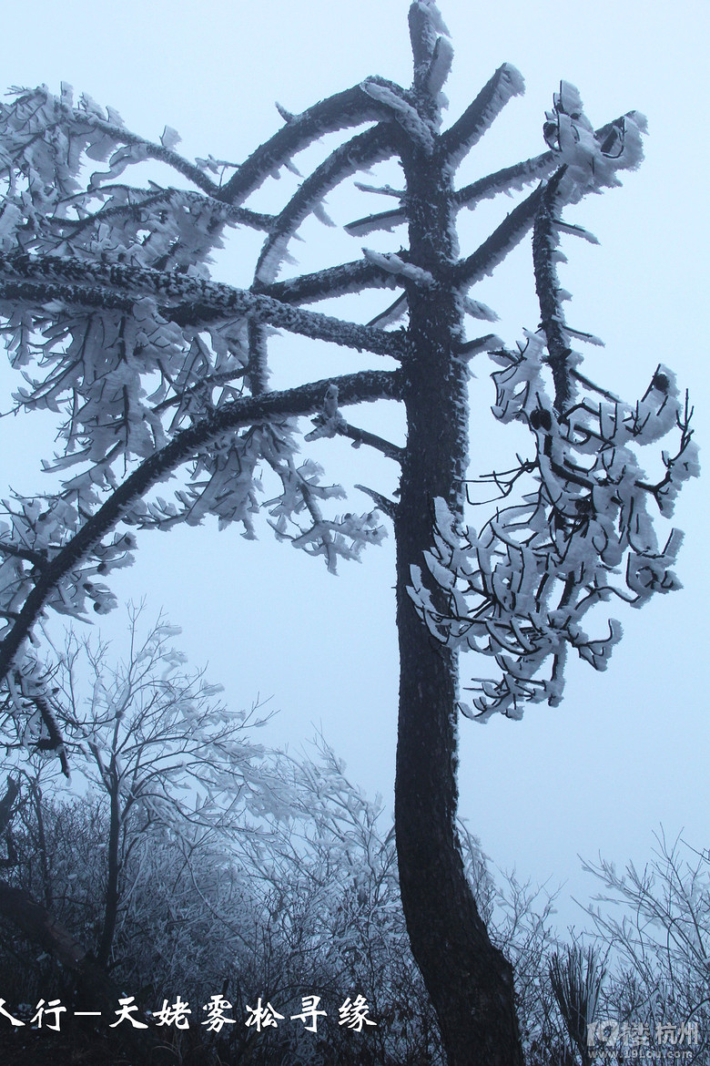 新昌天姥山看雾凇