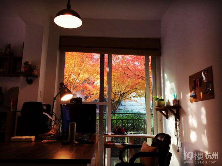 佳进文化传播有限公司招聘-运营专员-月薪300