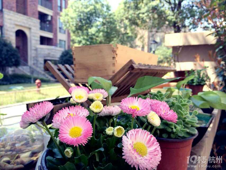 佳进文化传播有限公司招聘-运营专员-月薪300