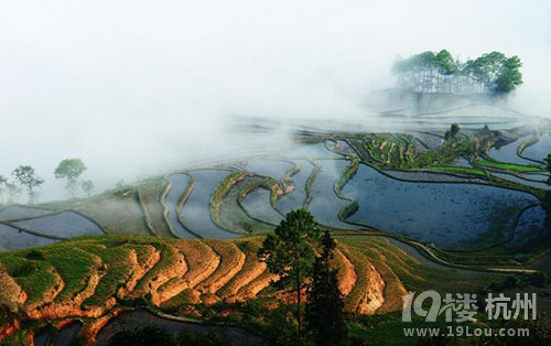 穹顶之下的另一种活法 ,柴静你为何视而不见呢