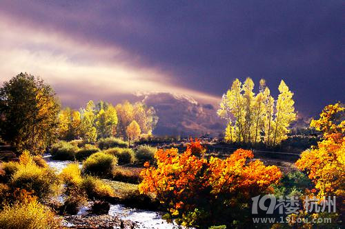 穹顶之下的另一种活法 ,柴静你为何视而不见呢