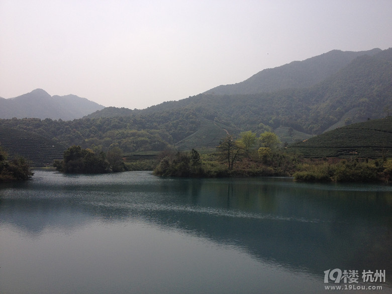 杭州龙坞何家村这里的风景别有韵味