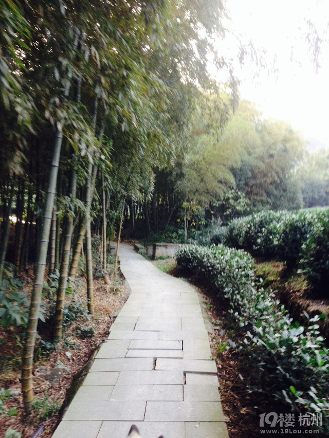 杭州龙坞何家村这里的风景别有韵味