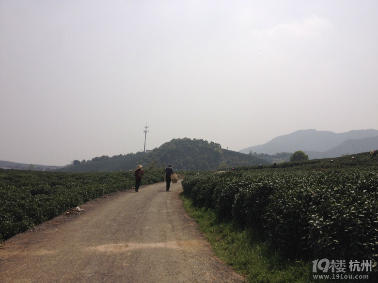 杭州龙坞何家村这里的风景别有韵味