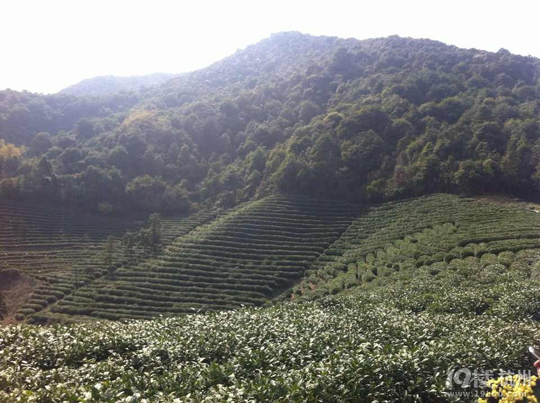 杭州龙坞何家村这里的风景别有韵味