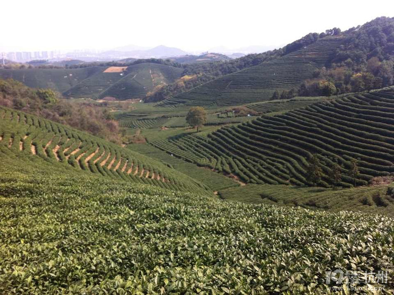 杭州龙坞何家村这里的风景别有韵味