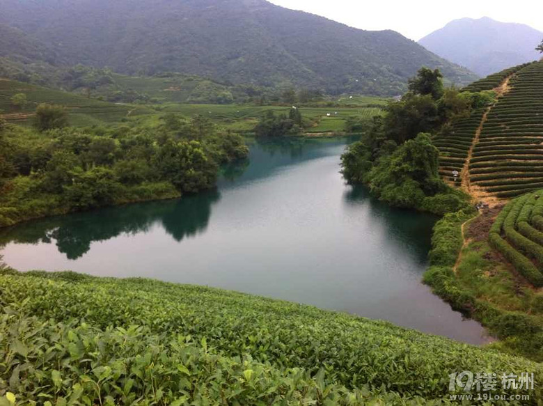 杭州龙坞何家村这里的风景别有韵味
