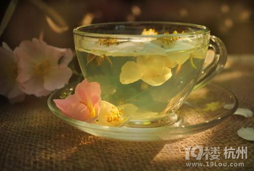 怀孕可以喝菊花茶吗？喝茶也要注意啦！