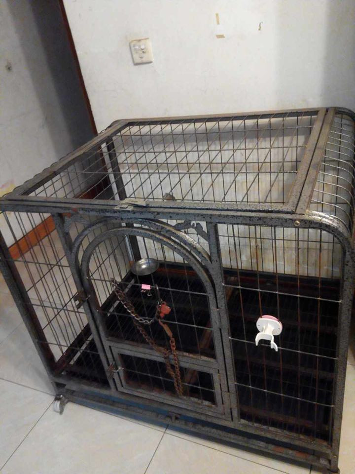 超低价转让狗笼