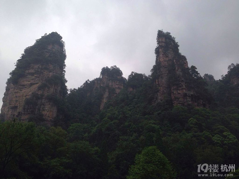 张家界胜地之旅 美景释放我的心情