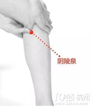 身体湿气重?多拍拍这些部位去湿气吧!-健康资