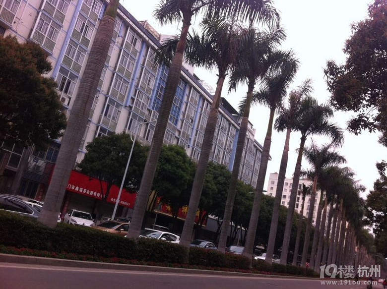 廈門 一個人帶著感傷的圓夢之旅 只為尋找心中一片寧靜(一）
